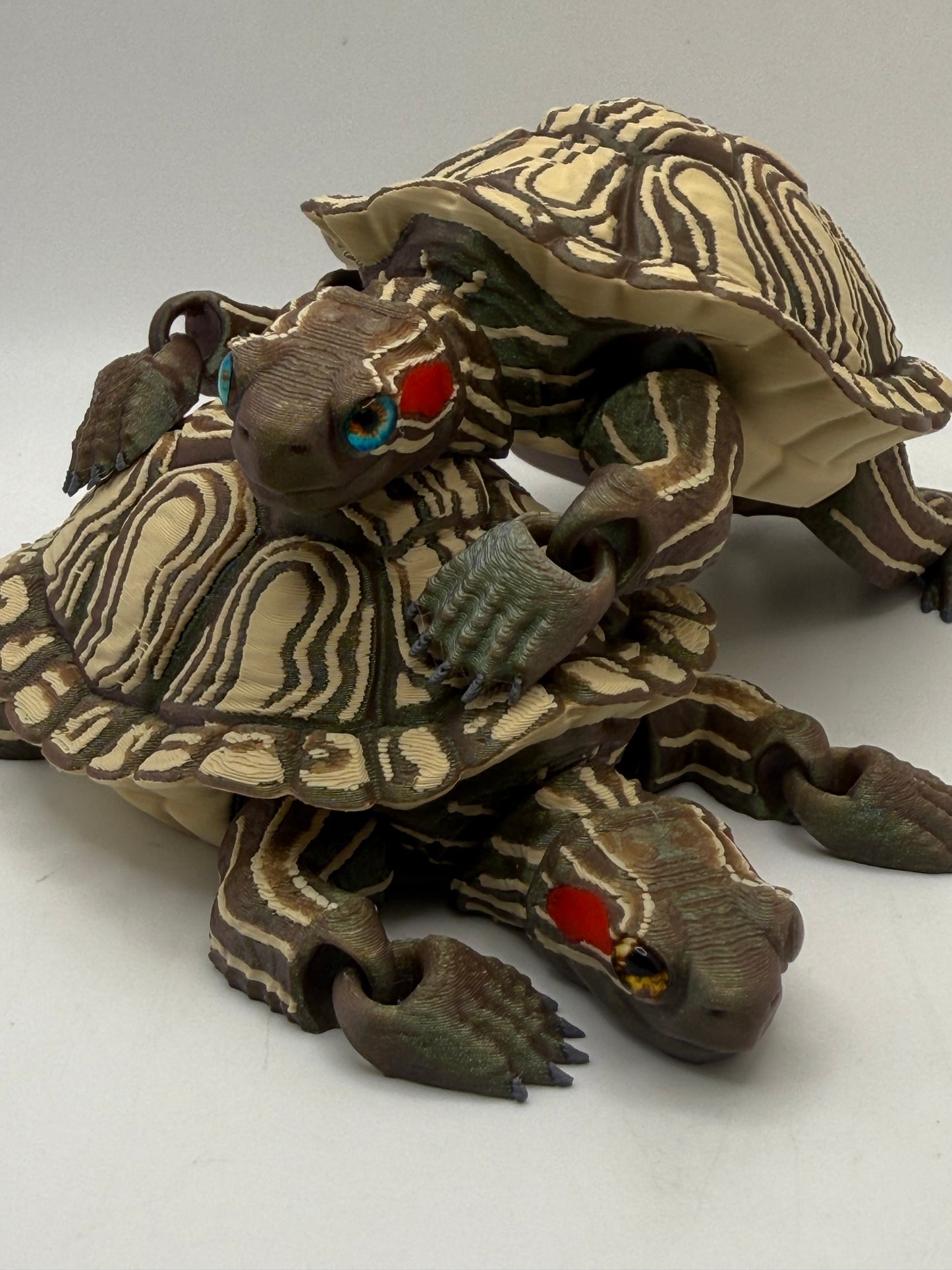 Red Eared Slider