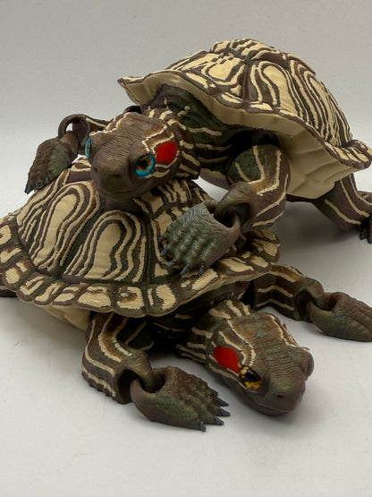 Red Eared Slider