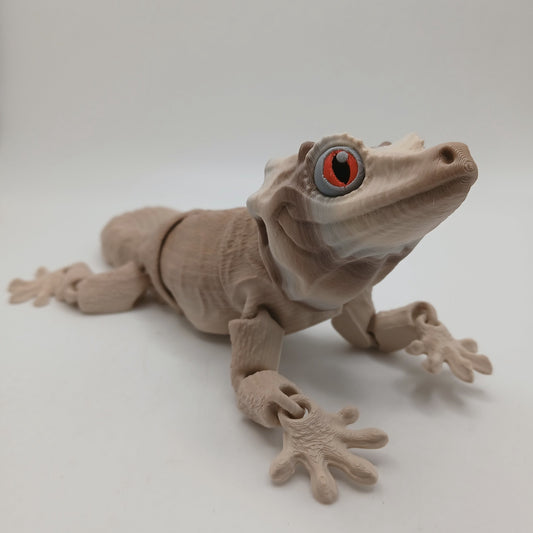 MMM Gargoyle Gecko