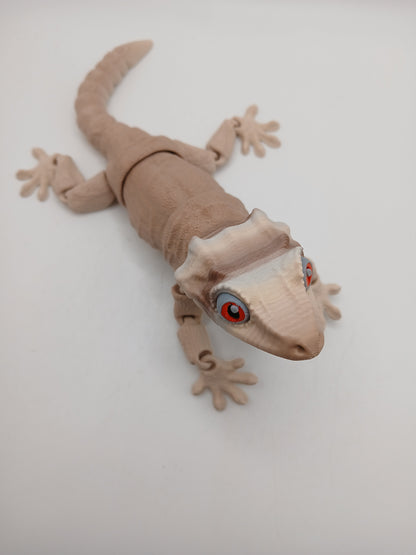 MMM Gargoyle Gecko