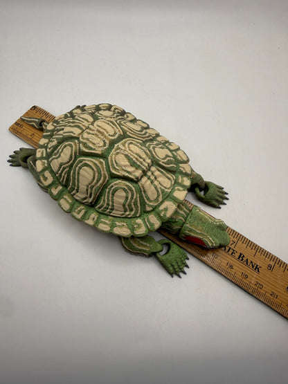 Red Eared Slider