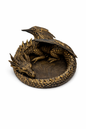 Sleeping Dragon Dish
