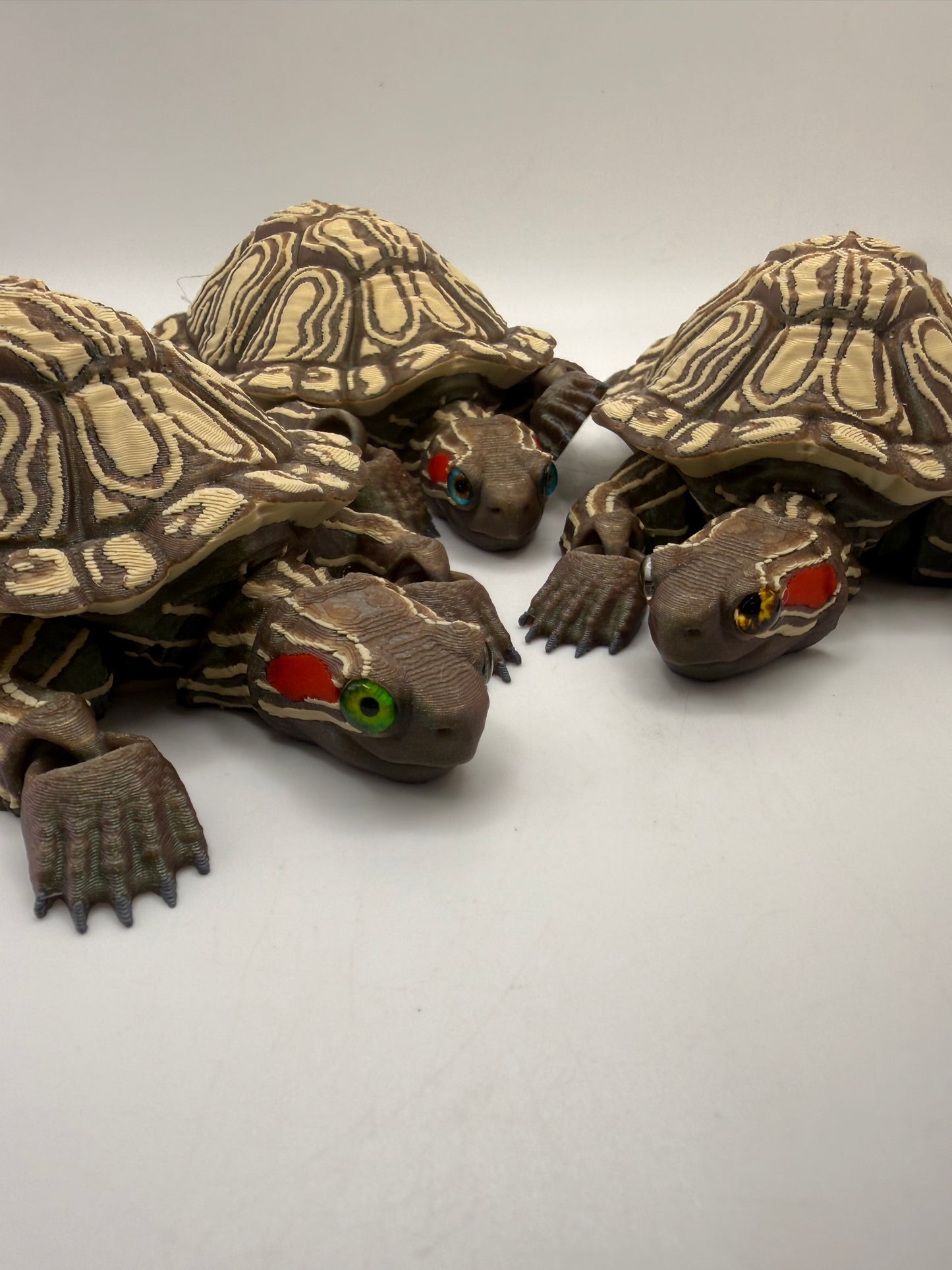 Red Eared Slider
