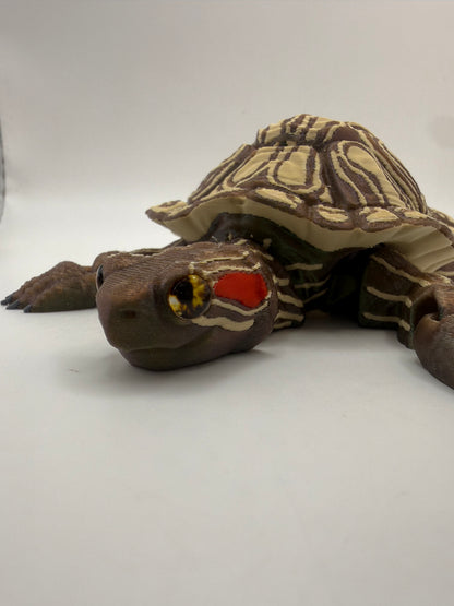 Red Eared Slider