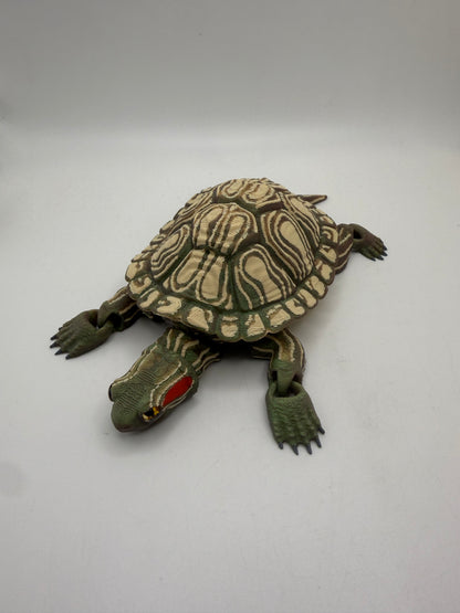 Red Eared Slider